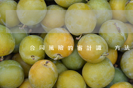 合同風險的審計識別方法及對策研究