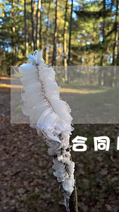 合同风险及如何有效预防？