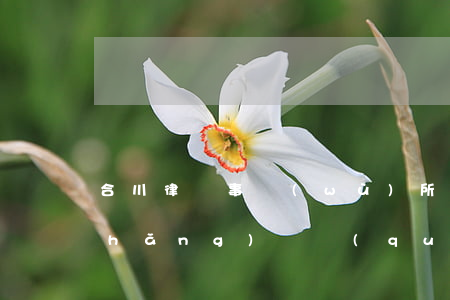 合川律師事務(wù)所排名（合川擅長(zhǎng)債權(quán)債務(wù)的律師）