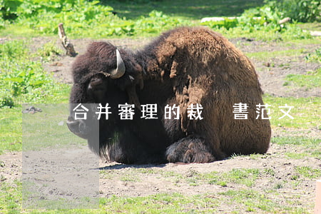 合并審理的裁決書范文