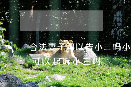 合法妻子可以告小三吗(小三和老公生了孩子可以起诉小三吗)