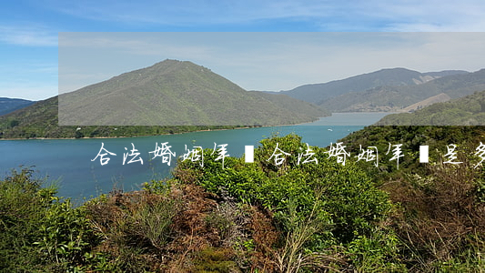 合法婚姻年齡(合法婚姻年齡是多大)