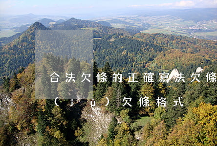 合法欠條的正確寫法(欠條怎么寫有法律依據(jù)欠條格式)