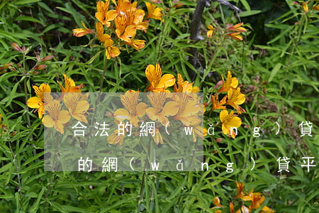合法的網(wǎng)貸平臺有哪些-合法的網(wǎng)貸平臺有哪些2022年