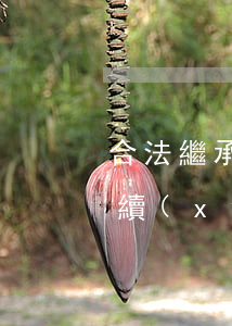 合法繼承人手續(xù)怎么辦(法定繼承手續(xù)如何辦理)