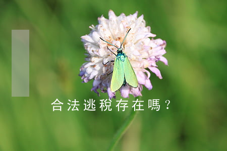 合法逃稅存在嗎？