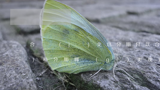 合約機(jī)免息分期付款(合約機(jī)和分期哪個(gè)更便宜)