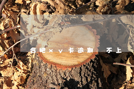合肥xy卡逾期還不上債務(wù)重組-