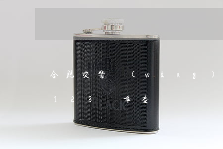 合肥交警網(wǎng)違章查詢(合肥交警123違章查詢)