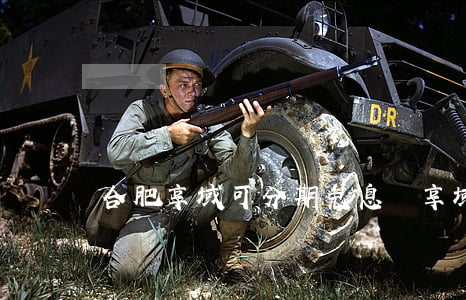 合肥享域可分期免息嗎 享域免息政策