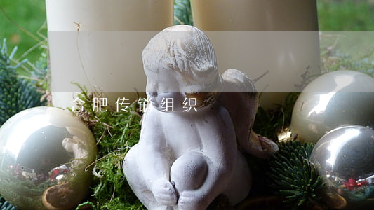 合肥传销组织