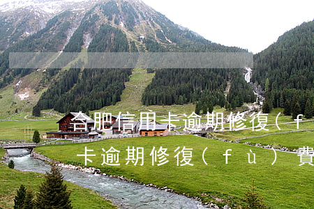 合肥信用卡逾期修復(fù)費用(合肥信用卡逾期修復(fù)費用)