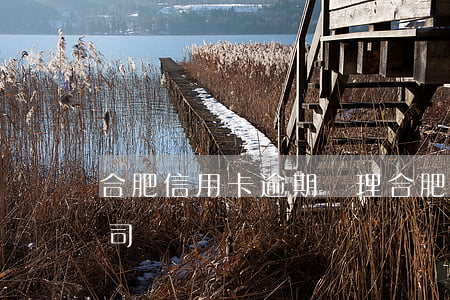 合肥信用卡逾期處理(合肥信用卡逾期處理公司)