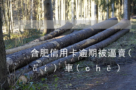 合肥信用卡逾期被逼賣(mài)房賣(mài)車(chē)