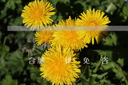 合肥債務律師免費咨詢（債務律師事務所合肥）