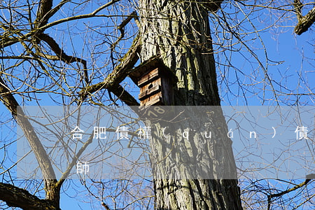 合肥債權(quán)債務(wù)糾紛律師