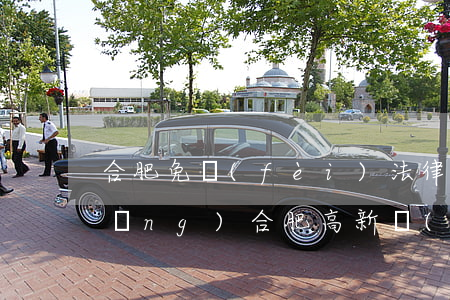 合肥免費(fèi)法律援助中心官網(wǎng)(合肥高新區(qū)法律援助中心地址)