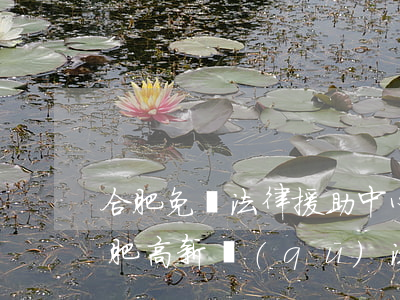 合肥免費法律援助中心官網(wǎng)(合肥高新區(qū)法律援助中心地址)