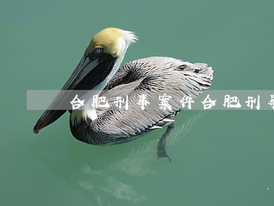 合肥刑事案件(合肥刑事案件的大律師)