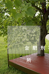 合肥刑事案件著名律师(合肥有名的律师事务所)