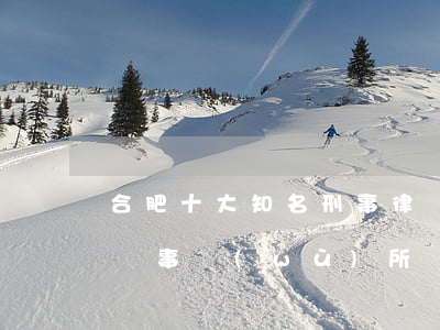 合肥十大知名刑事律師(合肥市排名前十的律師事務(wù)所)