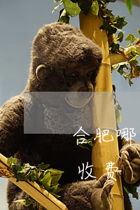 合肥哪个诈骗罪辩护律师专业(诈骗辩护律师收费)