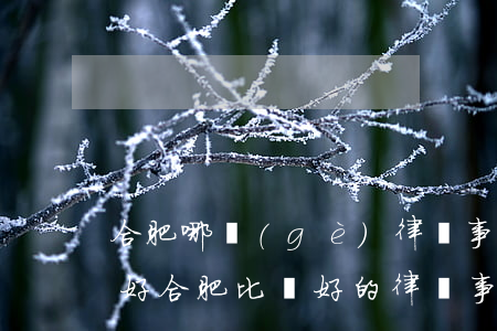 合肥哪個(gè)律師事務(wù)所比較好(合肥比較好的律師事務(wù)所)