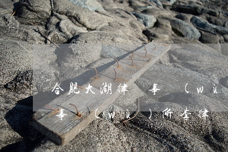 合肥大湖律師事務(wù)所(合肥大湖律師事務(wù)所李律師)