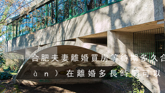 合肥夫妻離婚買房等待期多久(合肥現(xiàn)在離婚多長時間可以買房)