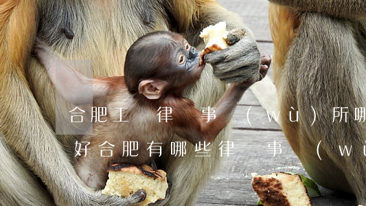 合肥工傷律師事務(wù)所哪個(gè)好(合肥有哪些律師事務(wù)所)