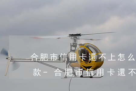 合肥市信用卡還不上怎么協(xié)商還款-合肥市信用卡還不上怎么協(xié)商還款呢
