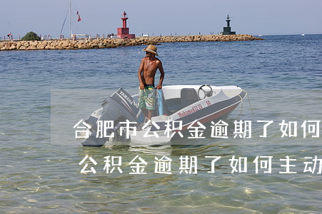 合肥市公积金逾期了如何主动还款-合肥市公积金逾期了如何主动还款呢