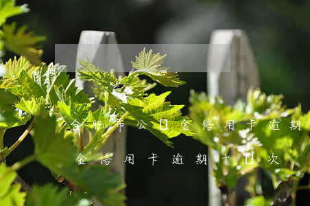 合肥市公積金信用卡逾期十幾次(合肥市公積金信用卡逾期十幾次)