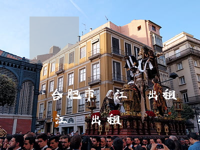 合肥市廬江縣出租車營運證多少錢(合肥市廬江縣出租車營運證多少錢)