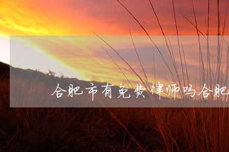 合肥市有免费律师吗(合肥专业律师)