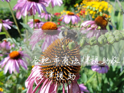 合肥市有法律援助收費嗎(合肥律師免費咨詢法律援助)
