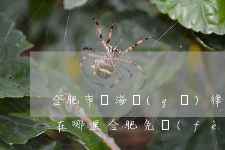 合肥市瑤海區(qū)律師事務(wù)所在哪里(合肥免費(fèi)咨詢律師事務(wù)所地址及電話)