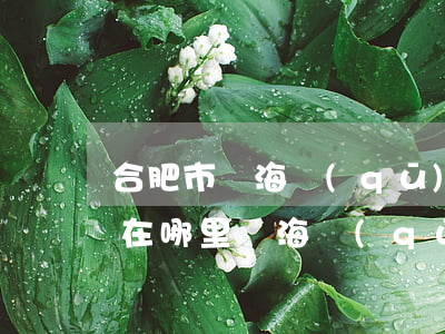 合肥市瑤海區(qū)律師事務(wù)所在哪里(瑤海區(qū)律師事務(wù)所地址)