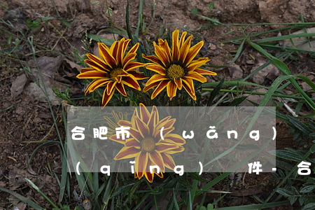 合肥市網(wǎng)貸逾期停息分期申請(qǐng)條件-合肥市網(wǎng)貸逾期停息分期申請(qǐng)條件是什么