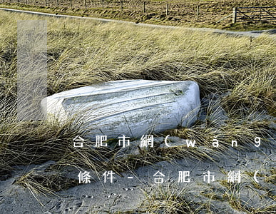 合肥市網(wǎng)貸逾期停息分期申請條件-合肥市網(wǎng)貸逾期停息分期申請條件是什么