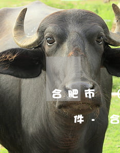 合肥市網(wǎng)貸逾期停息掛賬申請條件-合肥市網(wǎng)貸逾期停息掛賬申請條件是什么