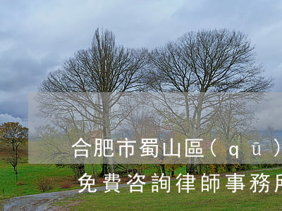 合肥市蜀山區(qū)律師事務所地址(合肥免費咨詢律師事務所地址及電話)