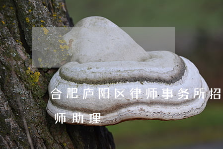 合肥庐阳区律师事务所招聘(合肥律所招聘律师助理)