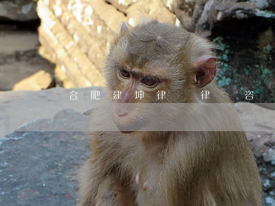 合肥建坤律師(律師咨詢電話)