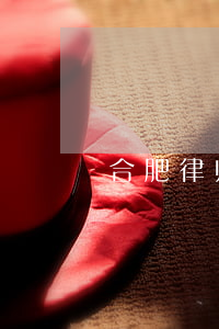 合肥律师收费标准民事(合肥民事律师咨询)
