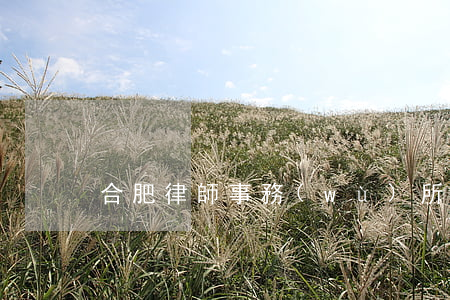 合肥律師事務(wù)所哪個(gè)好