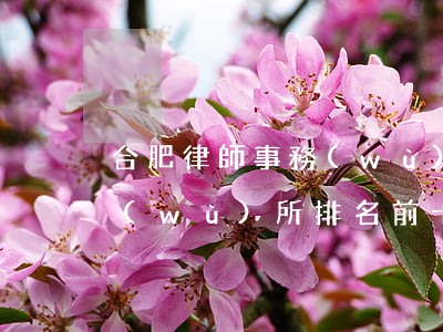 合肥律師事務(wù)所排名(合肥律師事務(wù)所排名前十位)