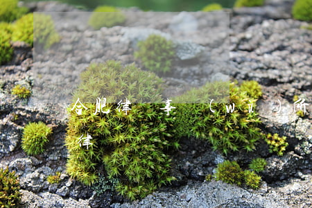 合肥律師事務(wù)所排行(合肥市最好的律師)