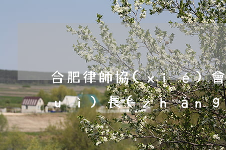 合肥律師協(xié)會(huì)會(huì)長(zhǎng)(合肥律師協(xié)會(huì)會(huì)長(zhǎng)單位)