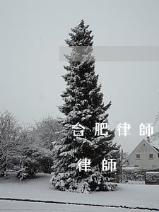 合肥律師協(xié)會會長名單(合肥十佳律師)